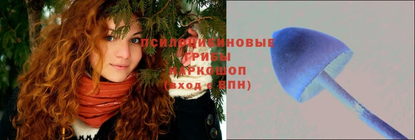 тгк Лабытнанги