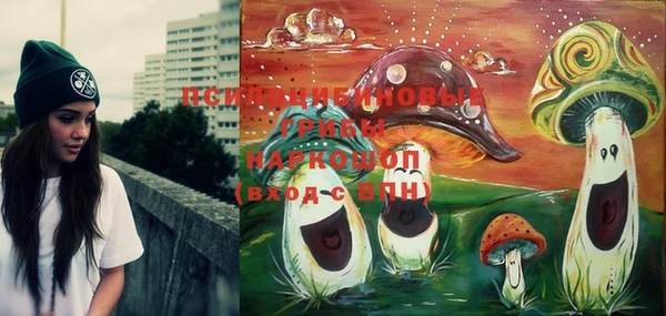 тгк Лабытнанги